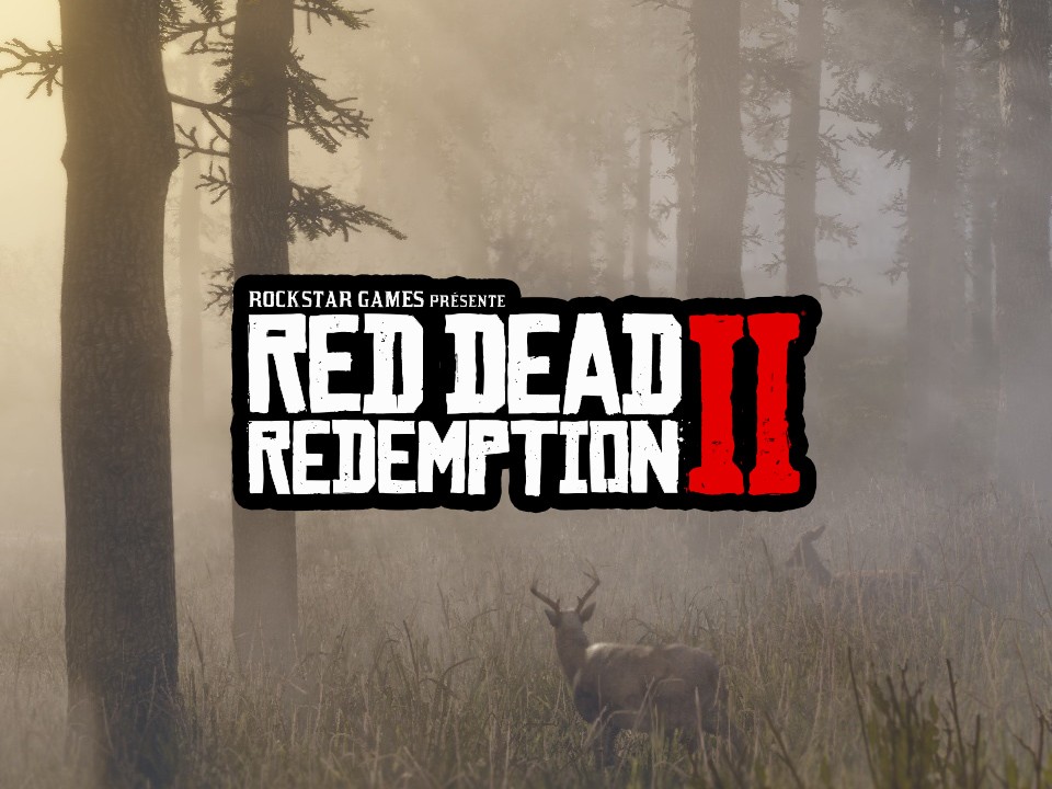 Pluis d'informations Red Dead Redemption II
