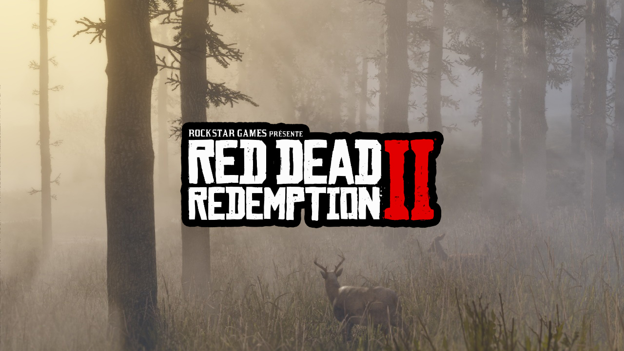 Pluis d'informations Red Dead Redemption II