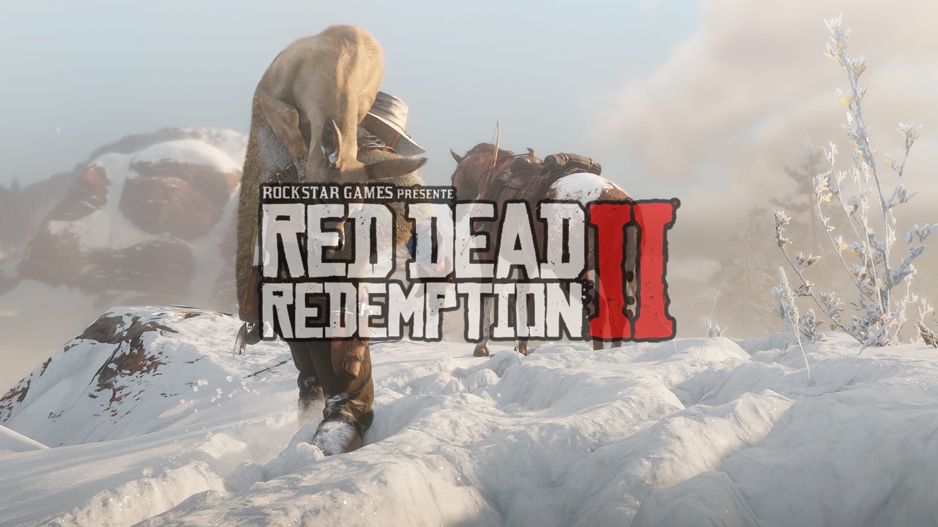 Vie Sauvage Red Dead Redemption II