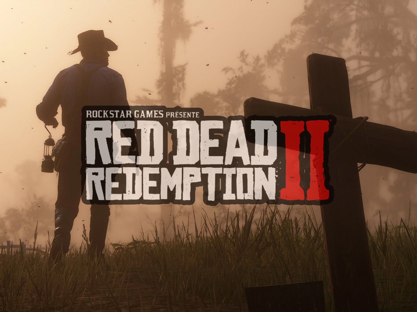 Pluie d'Informations sur Red Dead Redemption II