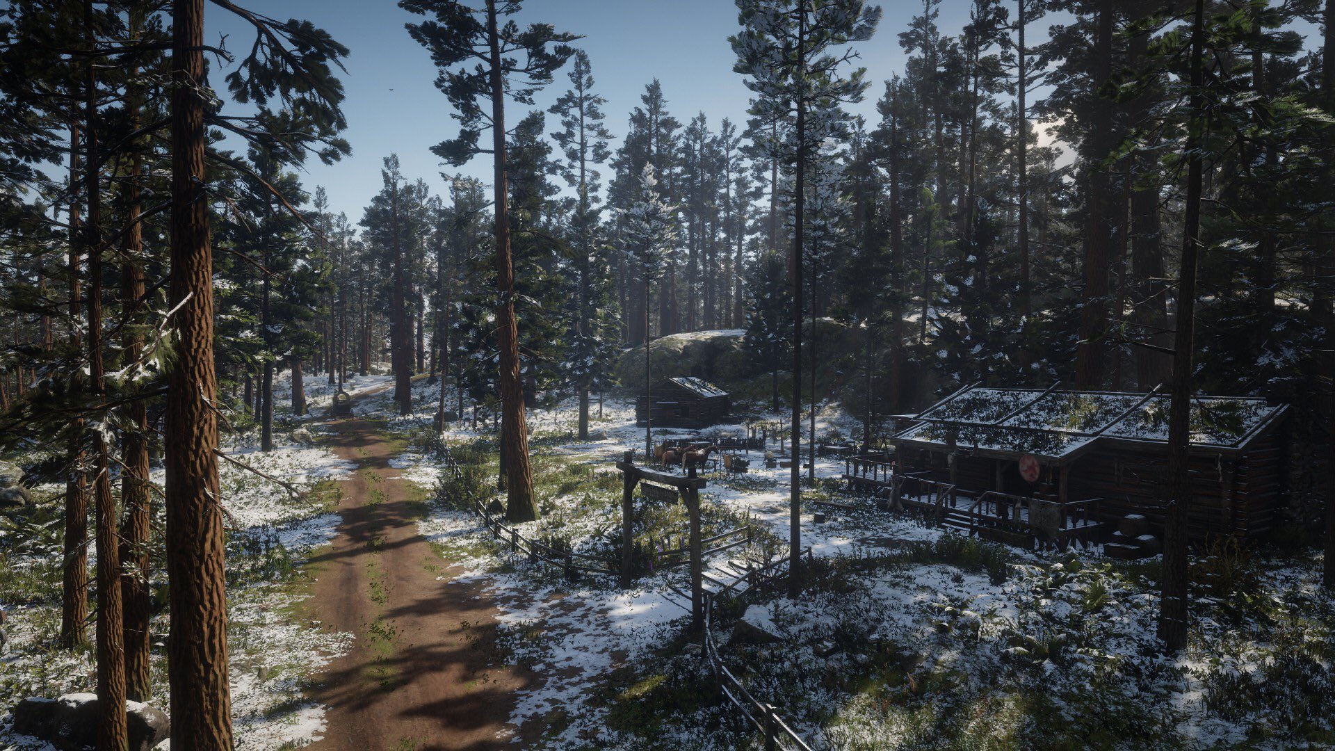 Red Dead Online Neige