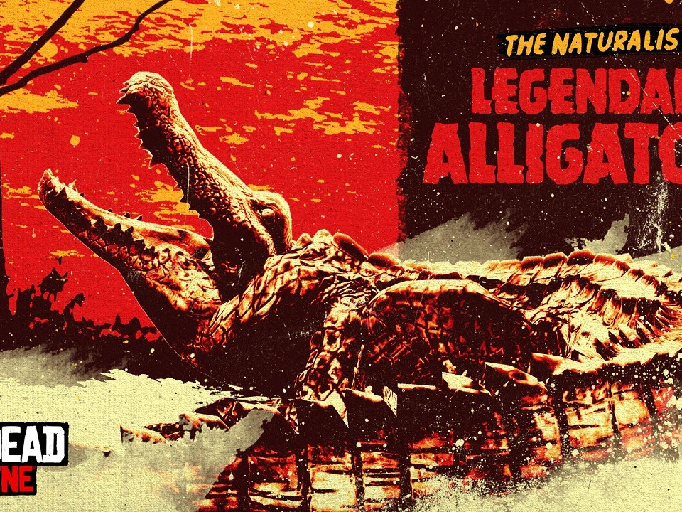 ban_Alligators-legendaires