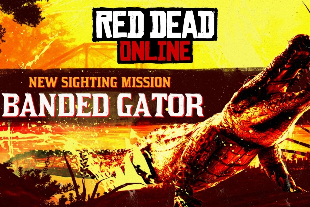 alligator à bandes légendaire