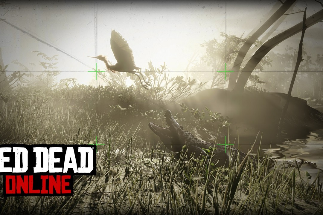 ban_concours-photo-naturaliste