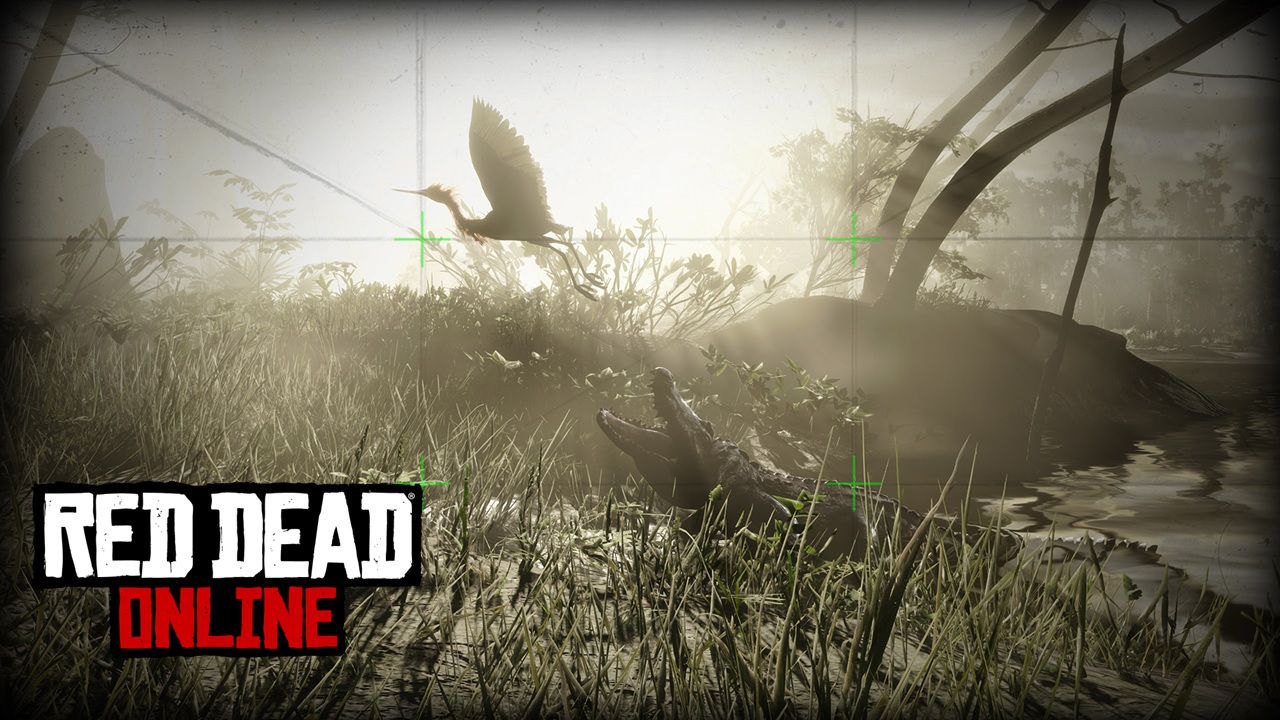 ban_concours-photo-naturaliste