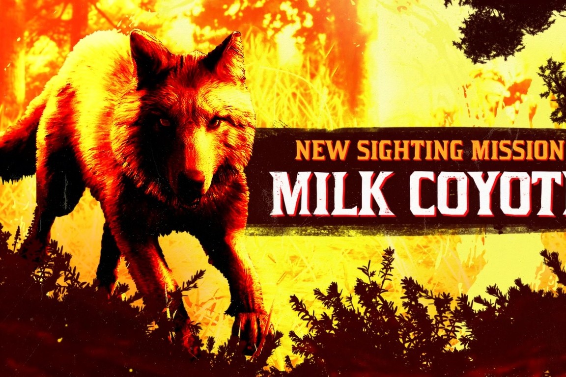 ban_coyote-laiteux-legendaire