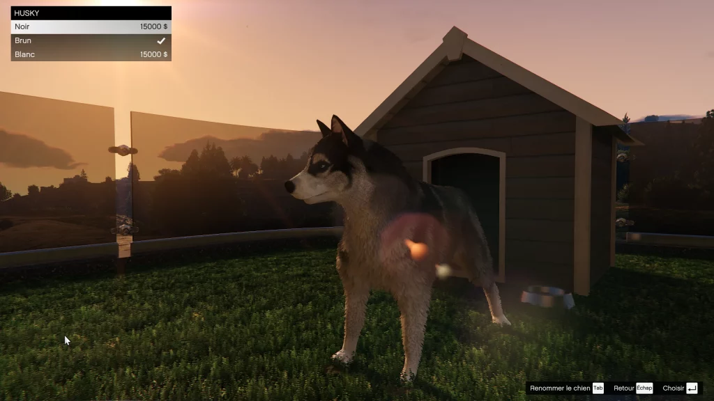 Husky mise à jour Une Planque au Sommet