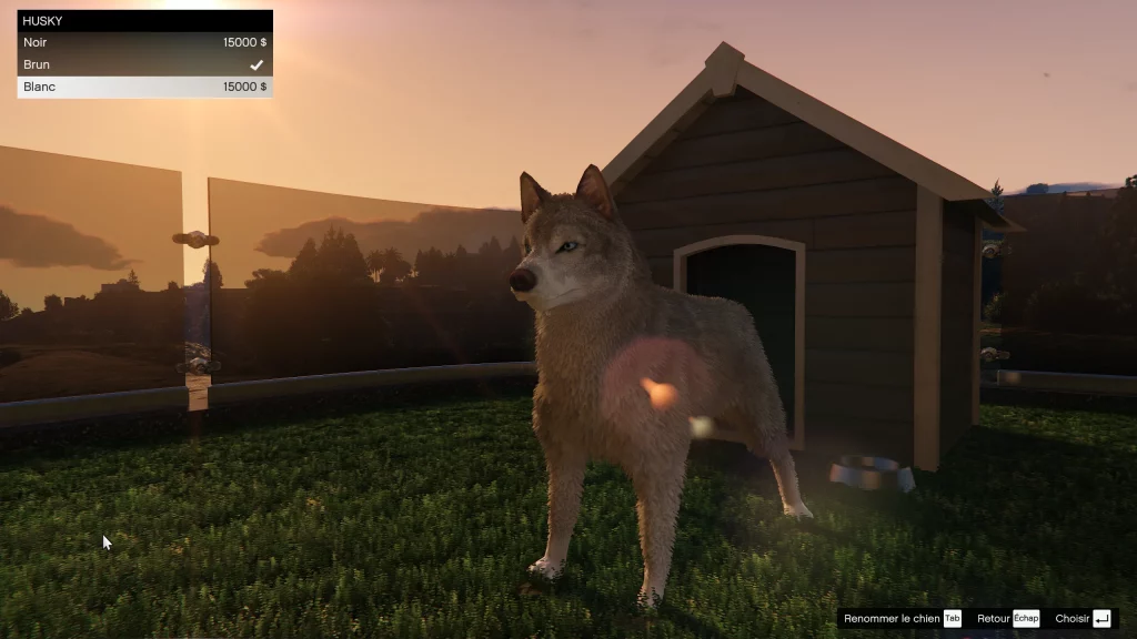 Husky mise à jour Une Planque au Sommet