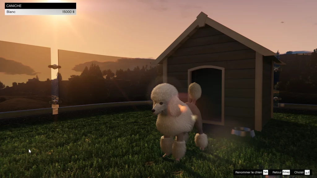 Caniche dans Une planque au sommet