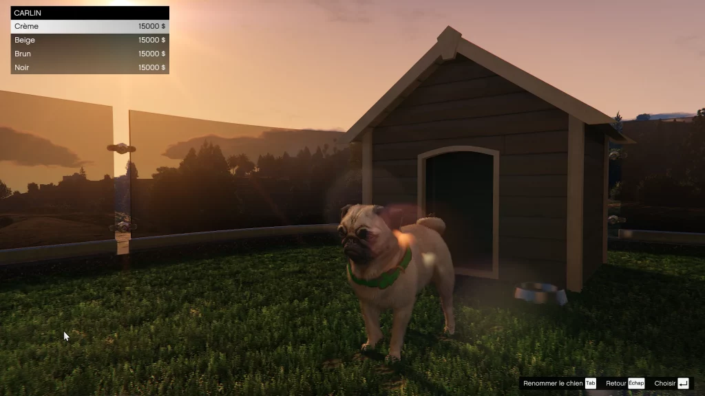 Carlin dans une planque au sommet