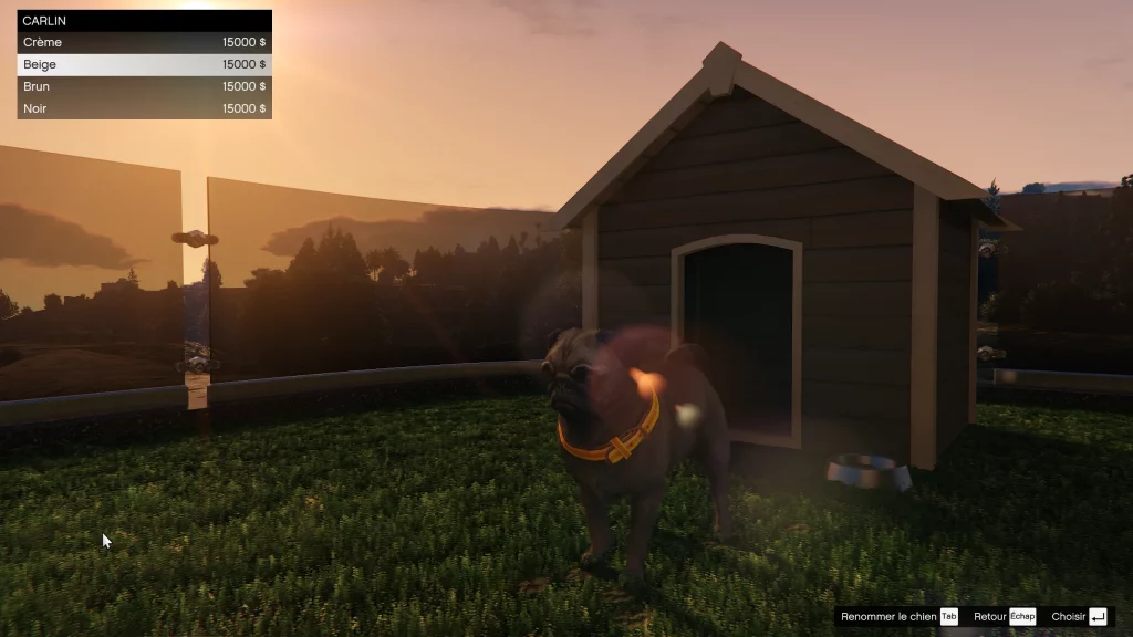 Carlin dans une planque au sommet