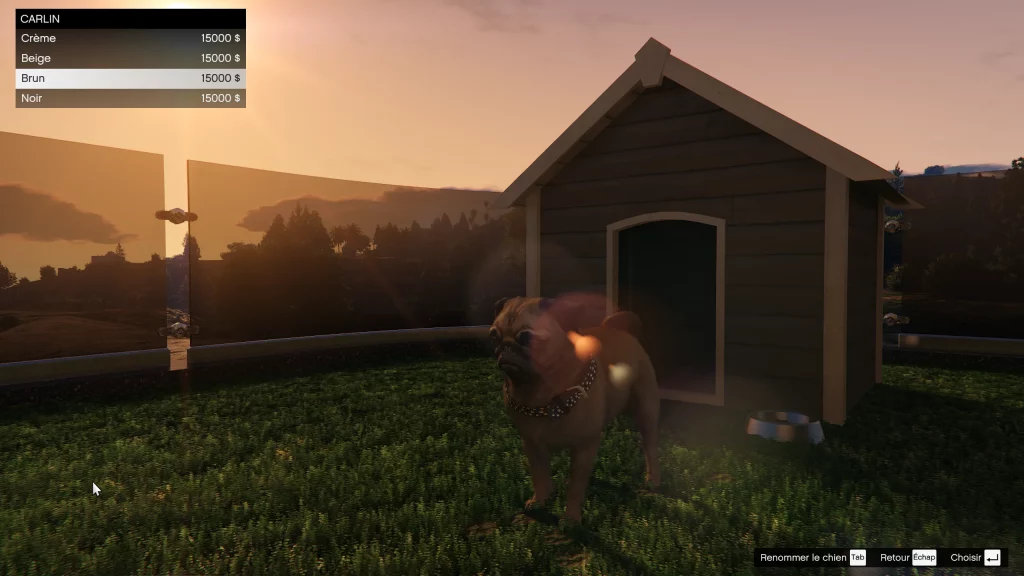 Carlin dans une planque au sommet