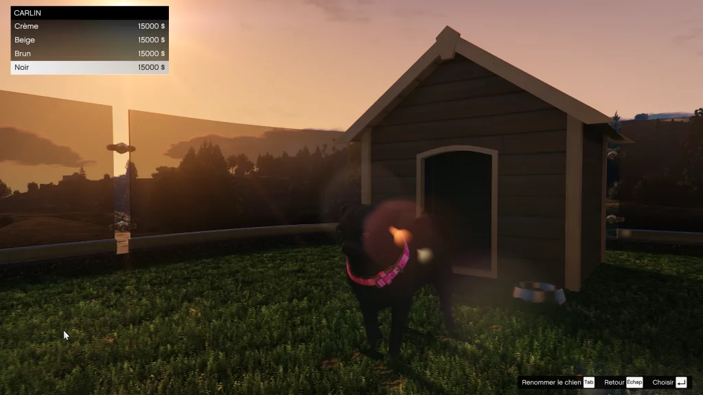 Carlin dans une planque au sommet