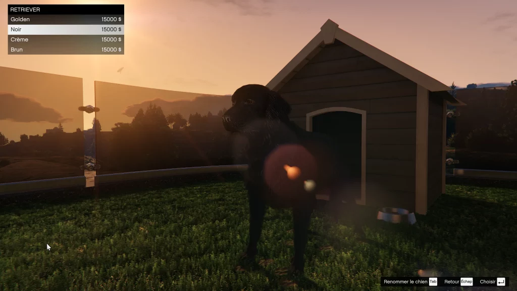 Retriever une planque au sommet