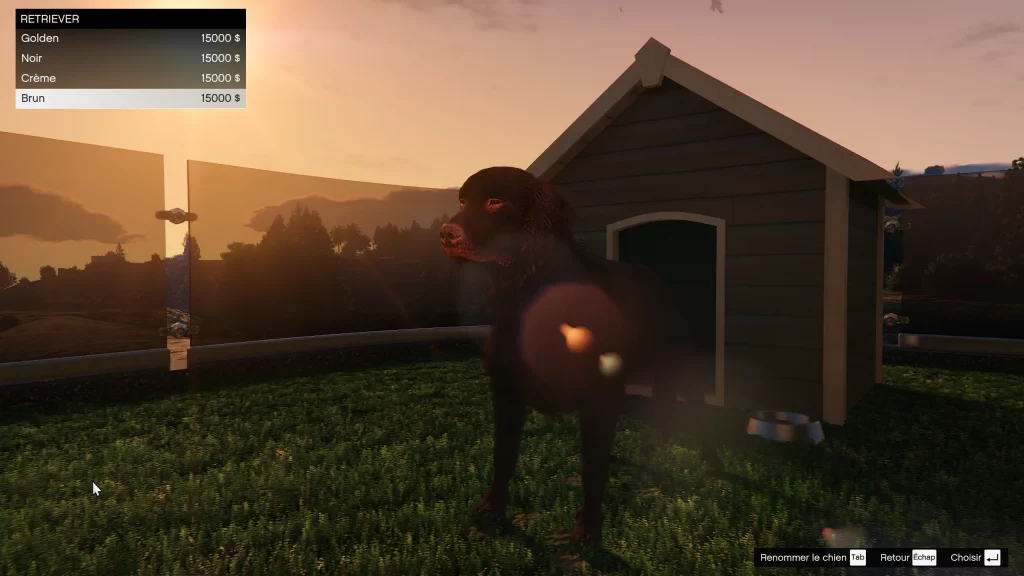 Retriever une planque au sommet