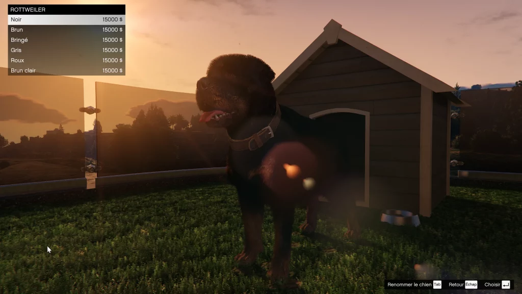 Le Rottweiler dans une planque au sommet