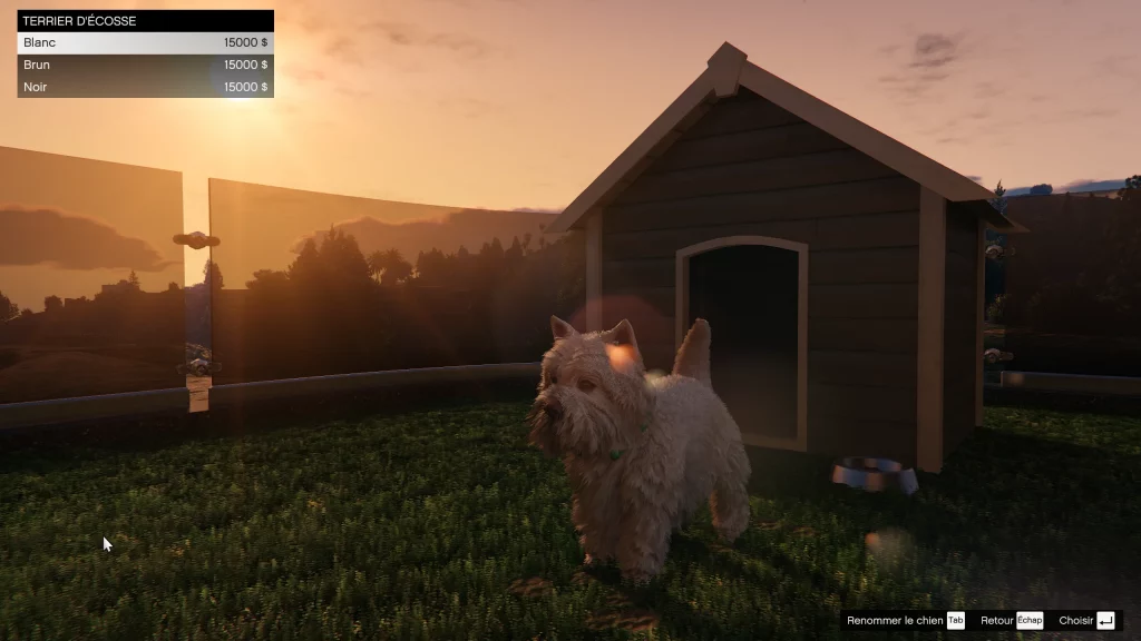 Le Terrier d'Ecosse une planque au sommet