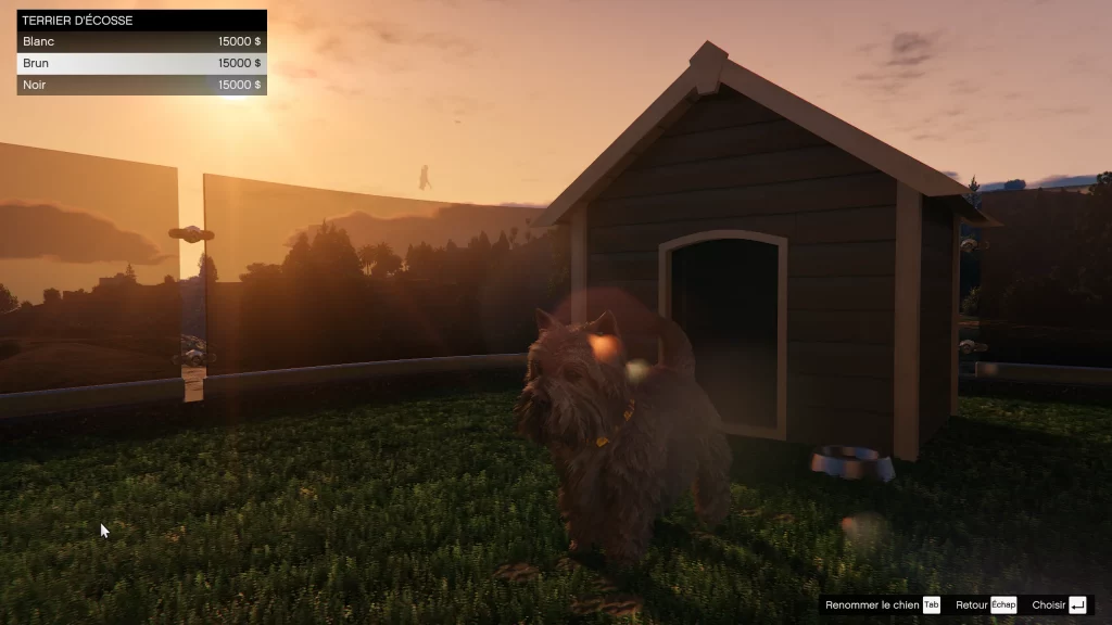 Le Terrier d'Ecosse une planque au sommet