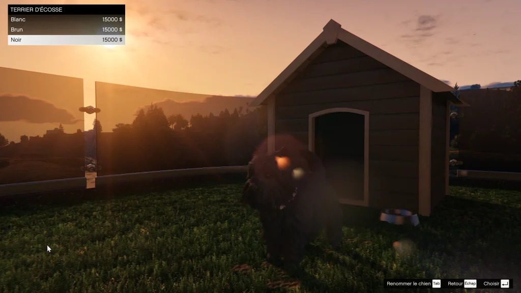 Le Terrier d'Ecosse une planque au sommet