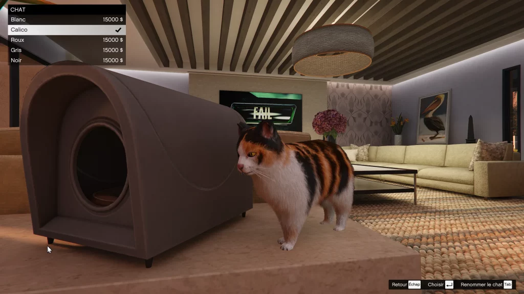 Chats disponibles dans Une planque au sommet