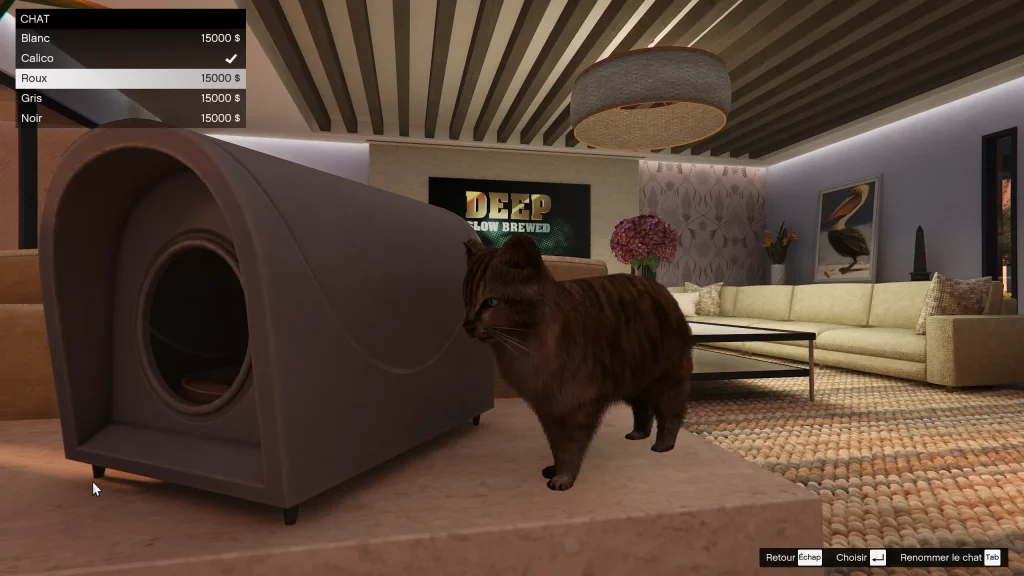 Chats disponibles dans Une planque au sommet