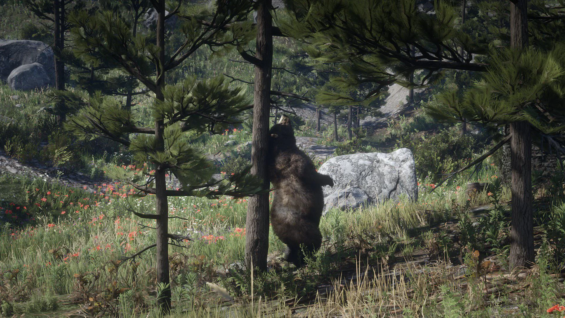 Mike York aniamtion ours