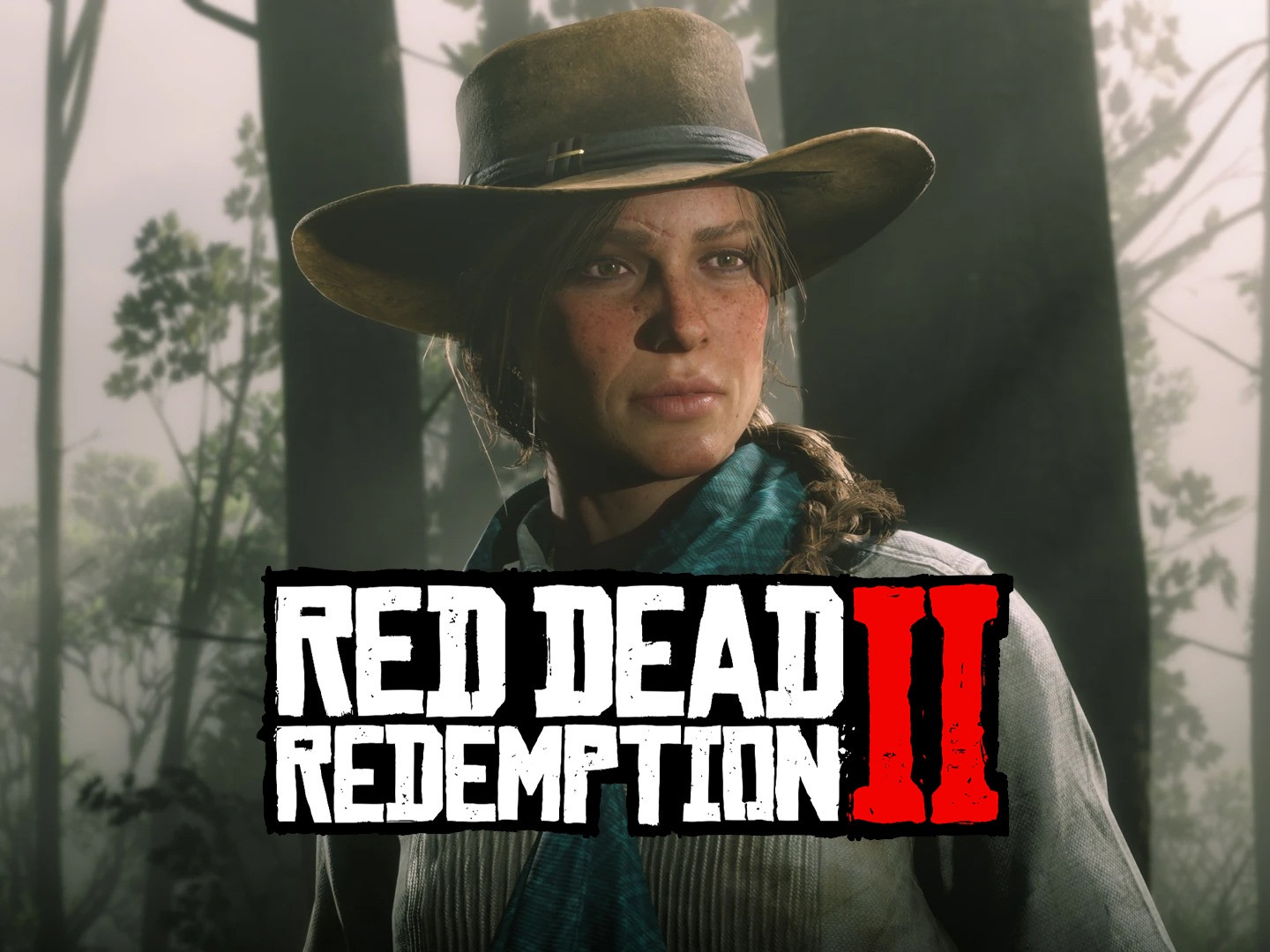 Red Dead Redemption II PS5, Xbox Series X/S, Switch 2