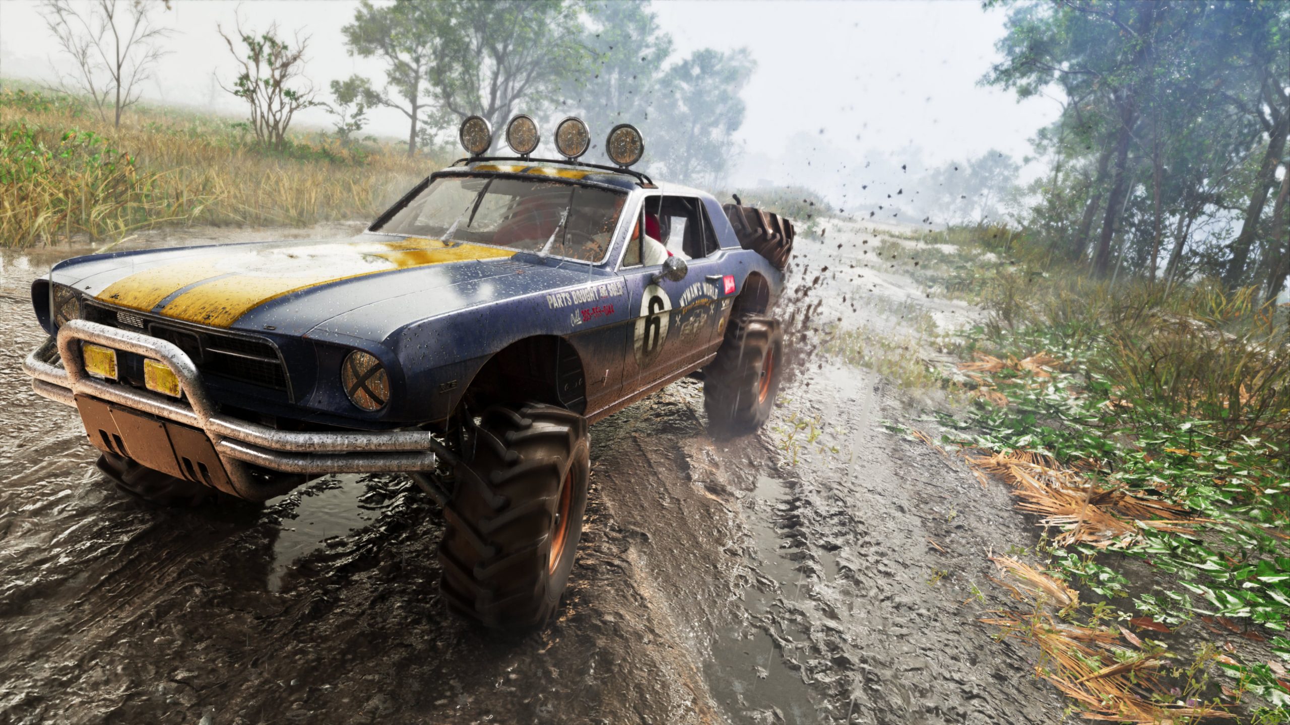 Buggy Vapid Dominator