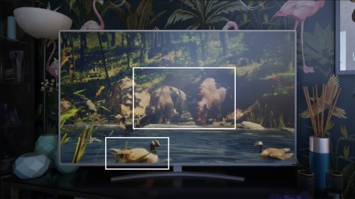 GTA 6 Animaux Netflix