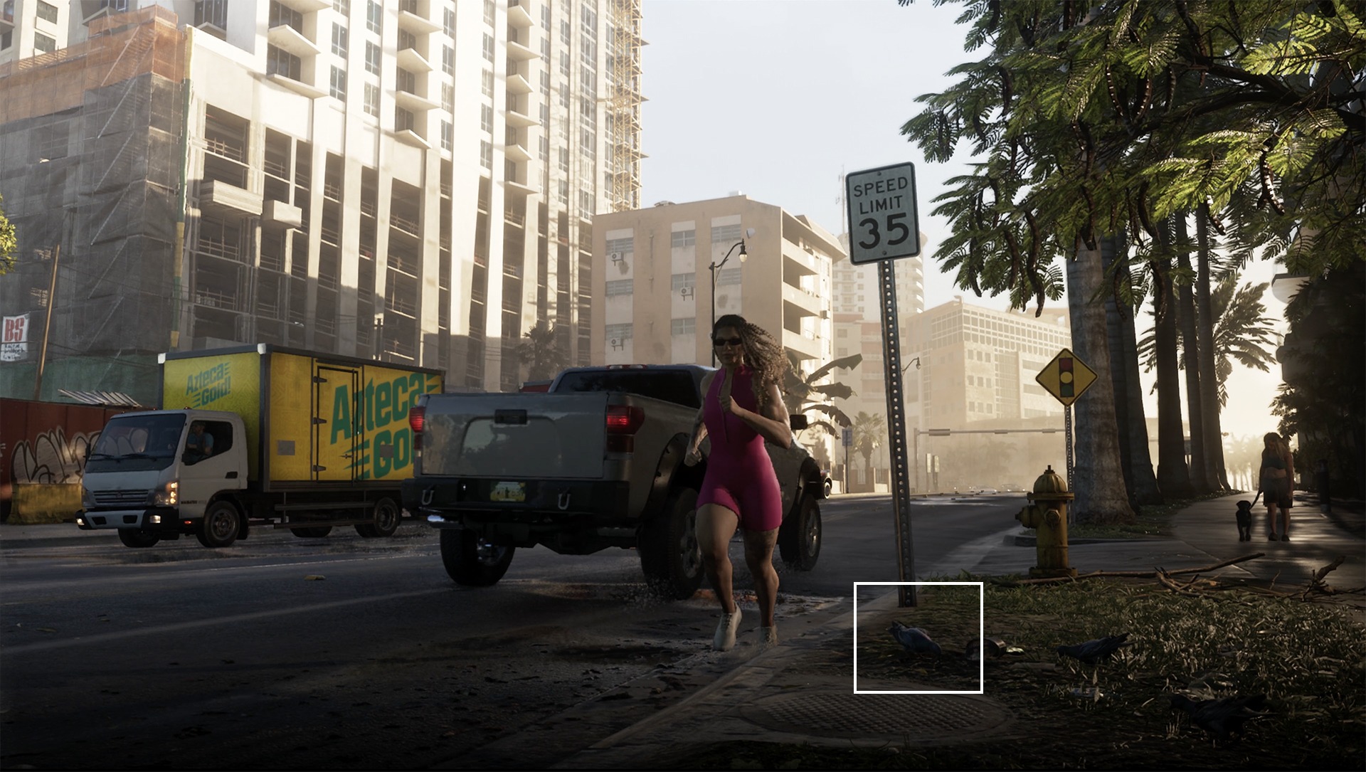 GTA 6 Pigeon