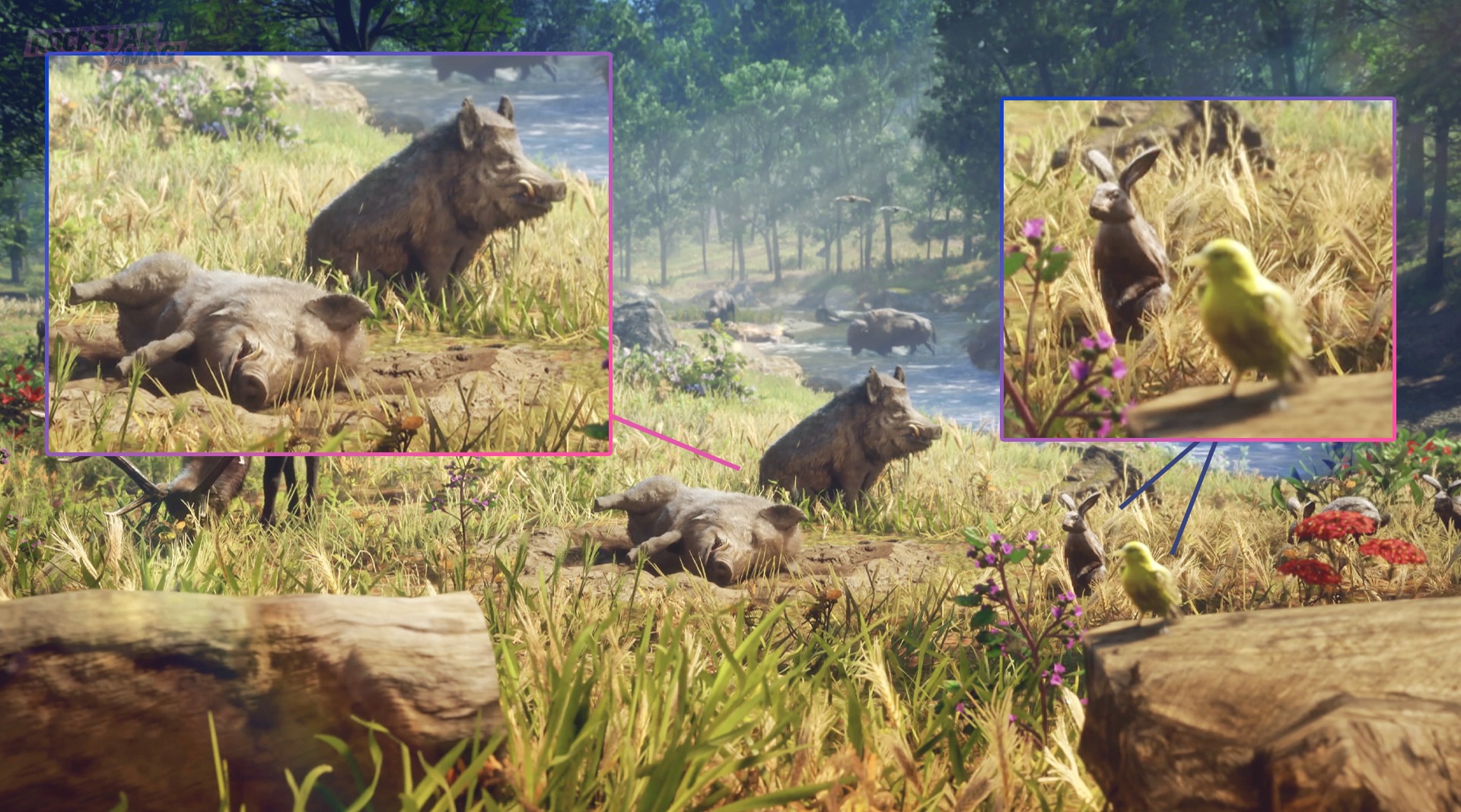 Analyse Ultra détaillée Large Aperçu de GTA 6, animaux
