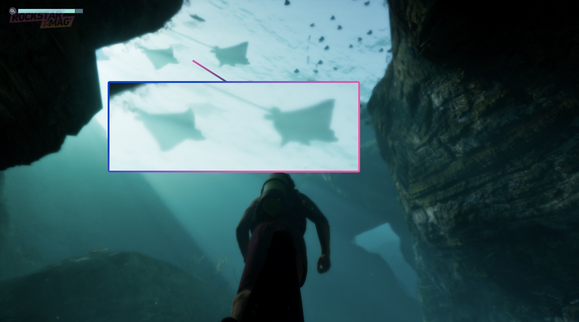 Analyse Ultra détaillée Large Aperçu de GTA 6, animaux