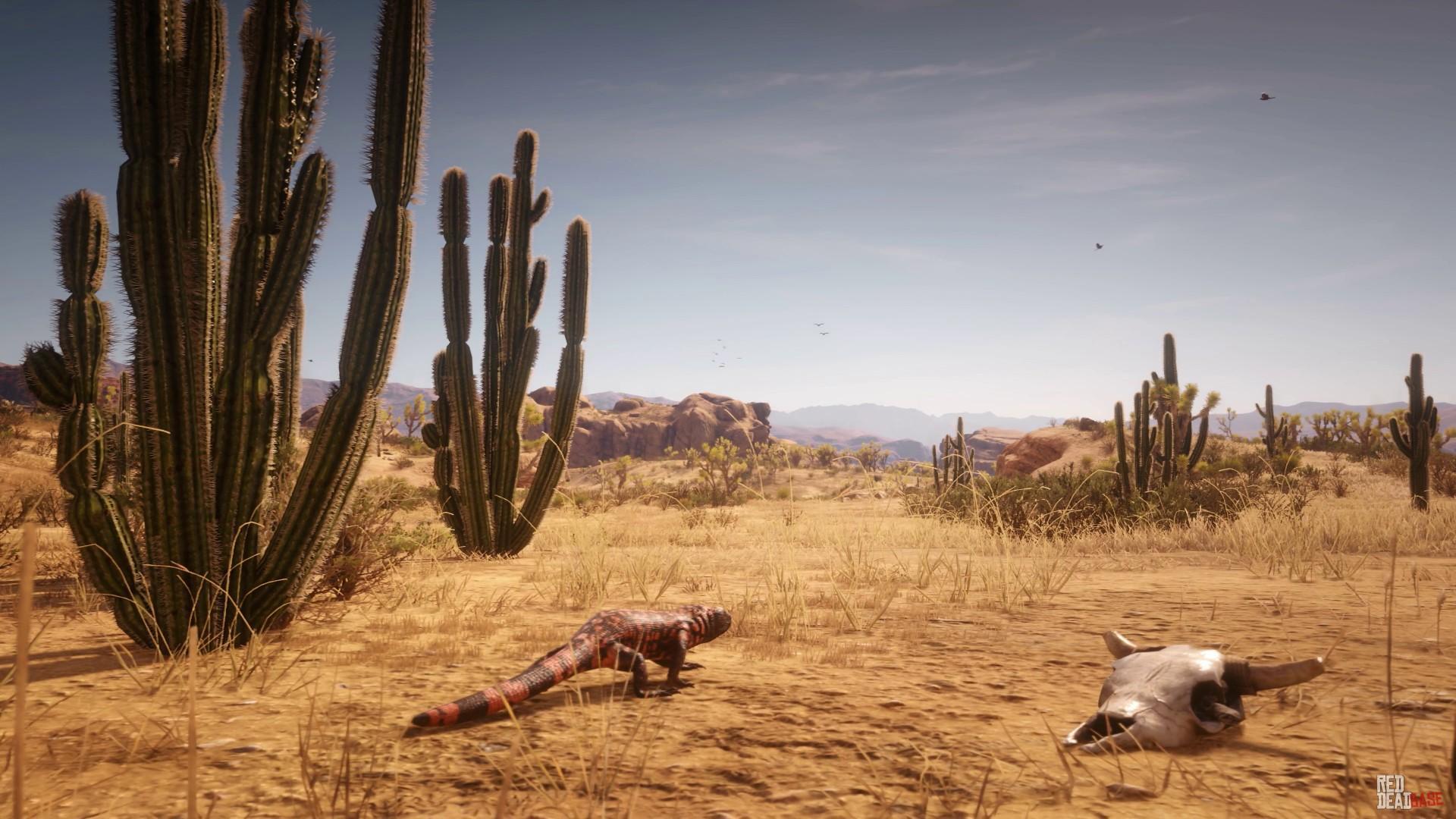 New Austin dans Red Dead Redemption 2 © Rockstar Games